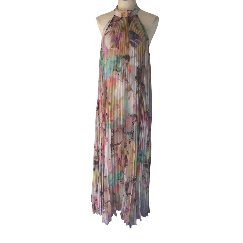 Ted Baker Womens Dress Size 5 Multicolor Daydream Maxi Floral Pleated New